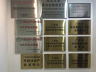b7c450a775fa4887b55f3a3912072492.jpg 1.jpg