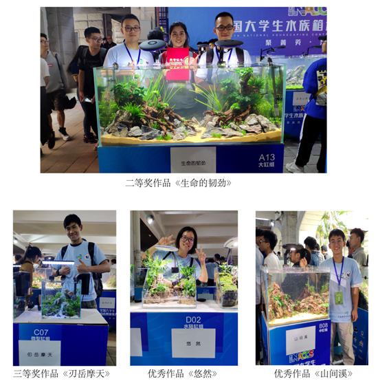 417da9a3d65b4734ba2f09016dbaf560.png 149c3f58-868d-4d32-8a93-9e111a8d9185.png
